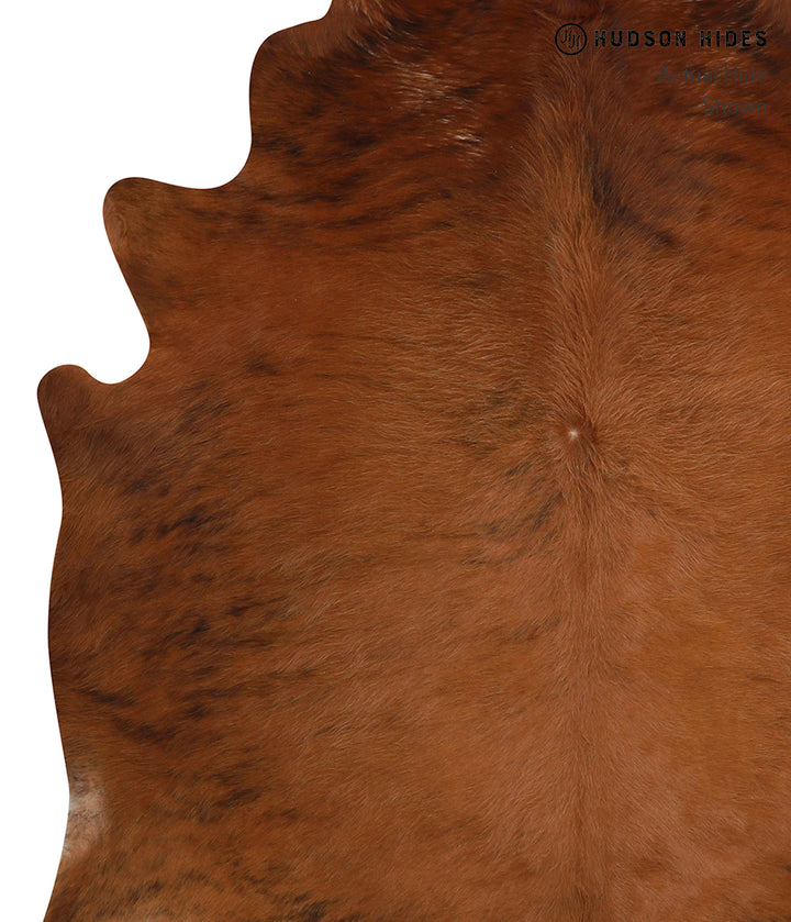 Medium Brindle X-Large Brazilian Cowhide Rug 6'9"H x 6'11"W #83047 by Hudson Hides