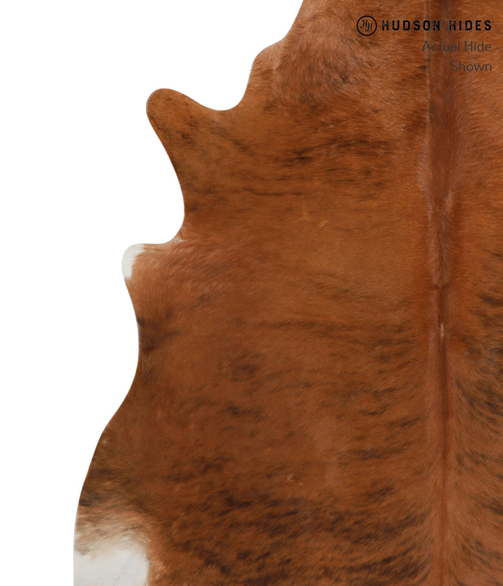 Medium Brindle X-Large Brazilian Cowhide Rug 6'9"H x 6'4"W #83068 by Hudson Hides