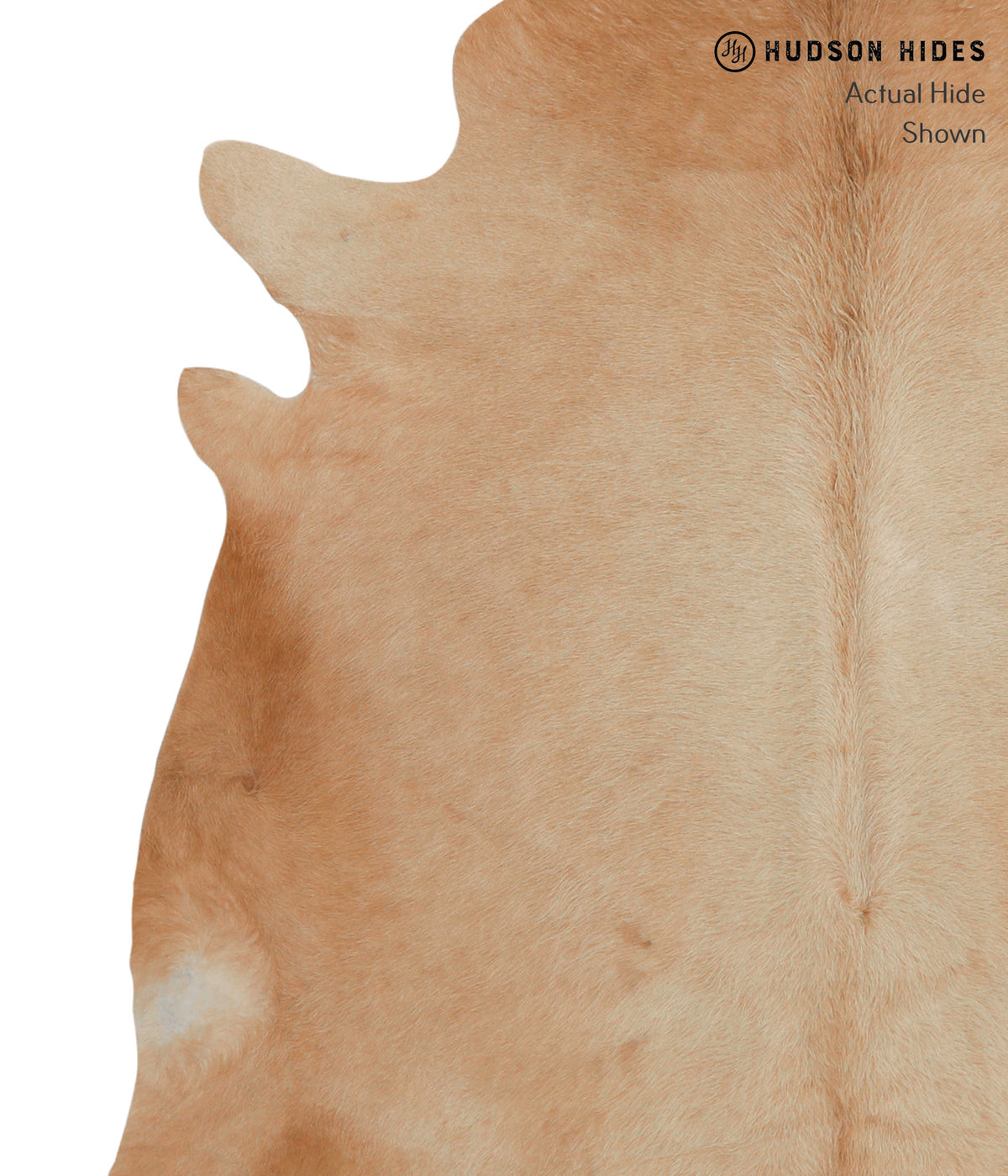 Beige X-Large Brazilian Cowhide Rug 6'5"H x 6'4"W #83147 by Hudson Hides