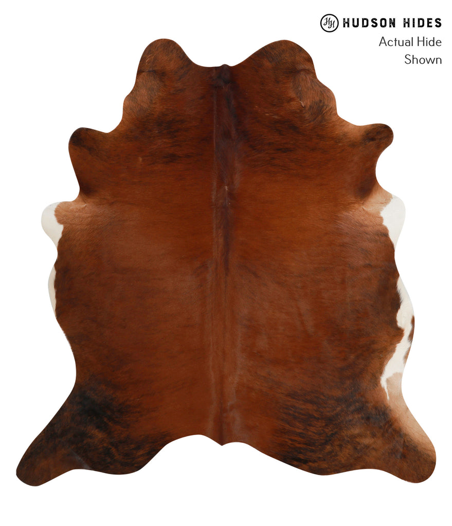 Medium Brindle X-Large Brazilian Cowhide Rug 6'6"H x 6'1"W #83203 by Hudson Hides