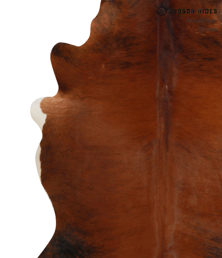 Medium Brindle X-Large Brazilian Cowhide Rug 6'6"H x 6'1"W #83203 by Hudson Hides