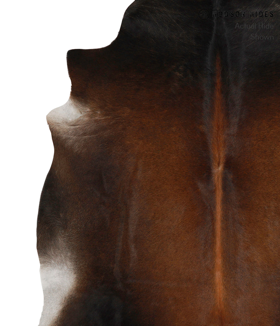 Chocolate X-Large Brazilian Cowhide Rug 6'6"H x 6'1"W #83226 by Hudson