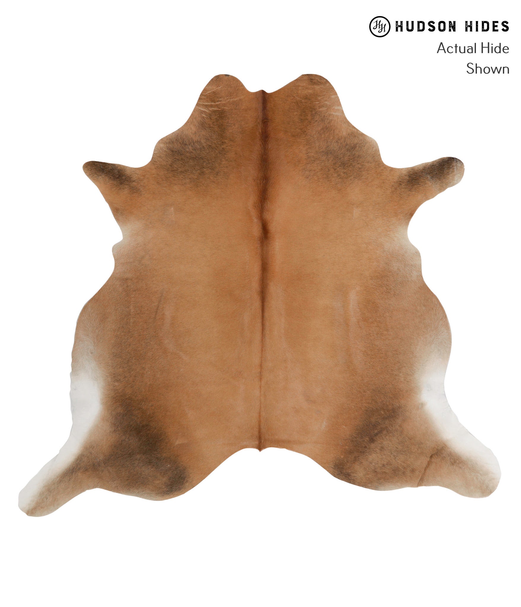 Brown with Red Cowhide Rug #83239