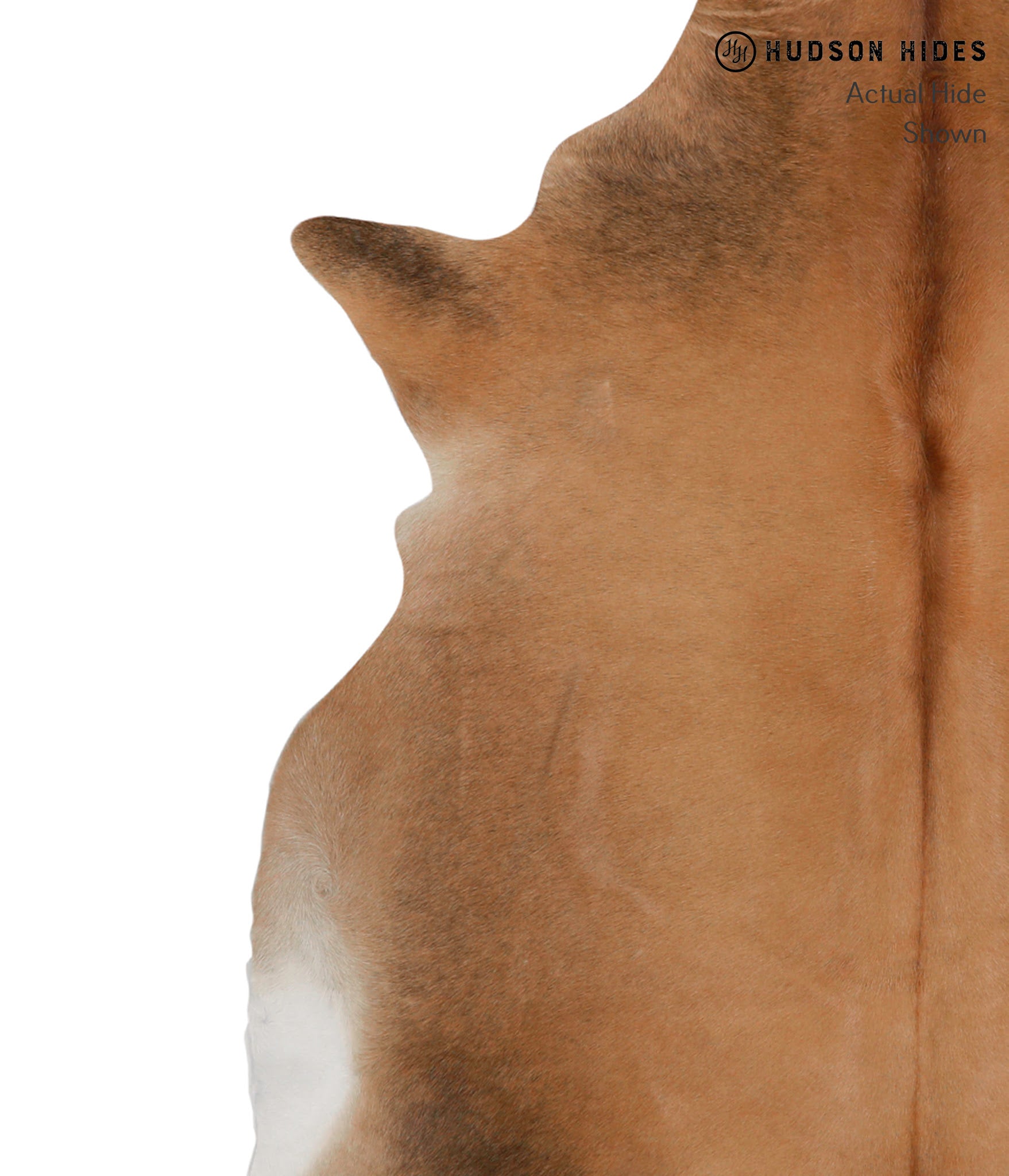 Brown with Red Cowhide Rug #83239