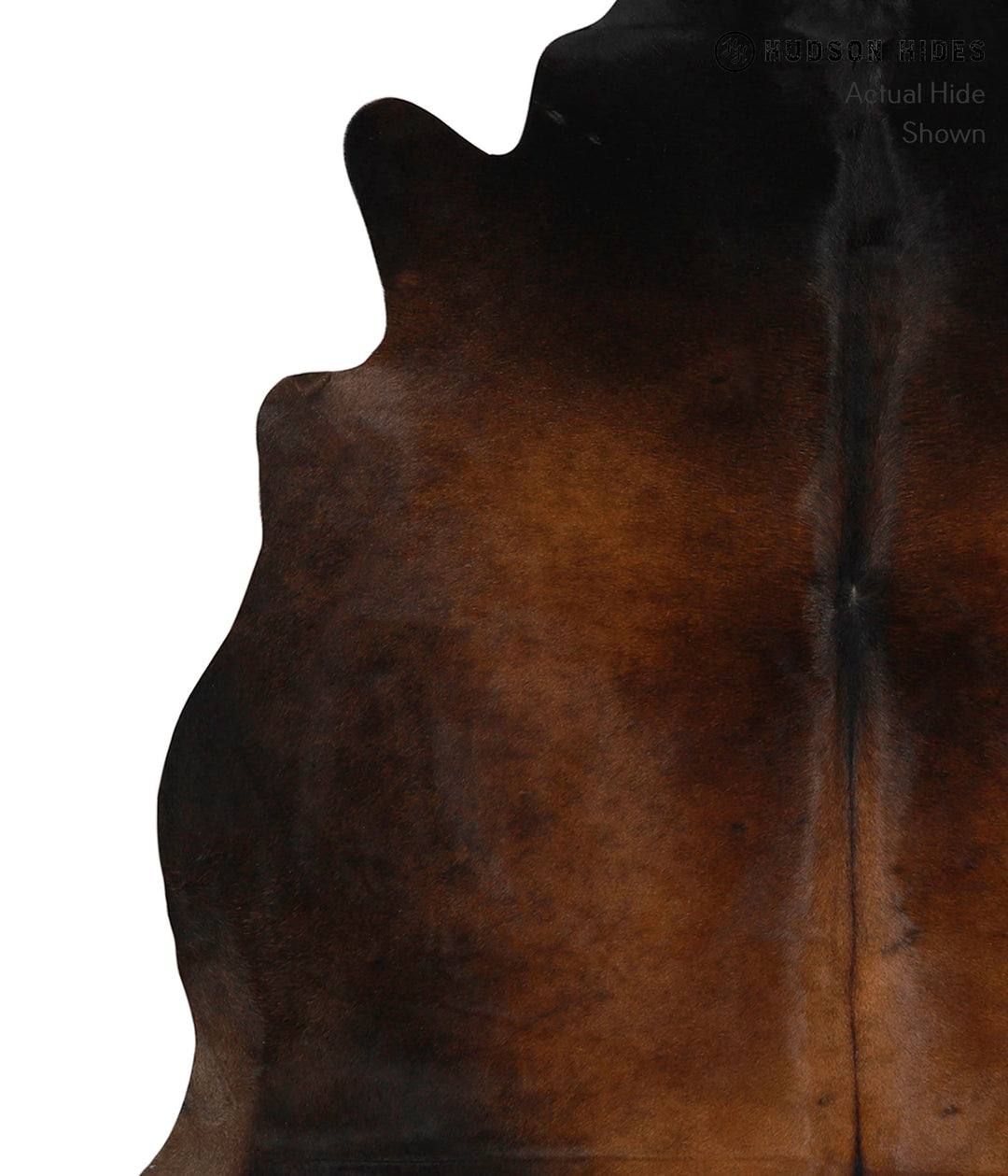 Chocolate Large Brazilian Cowhide Rug 5'11"H x 6'2"W #83251 by Hudson 