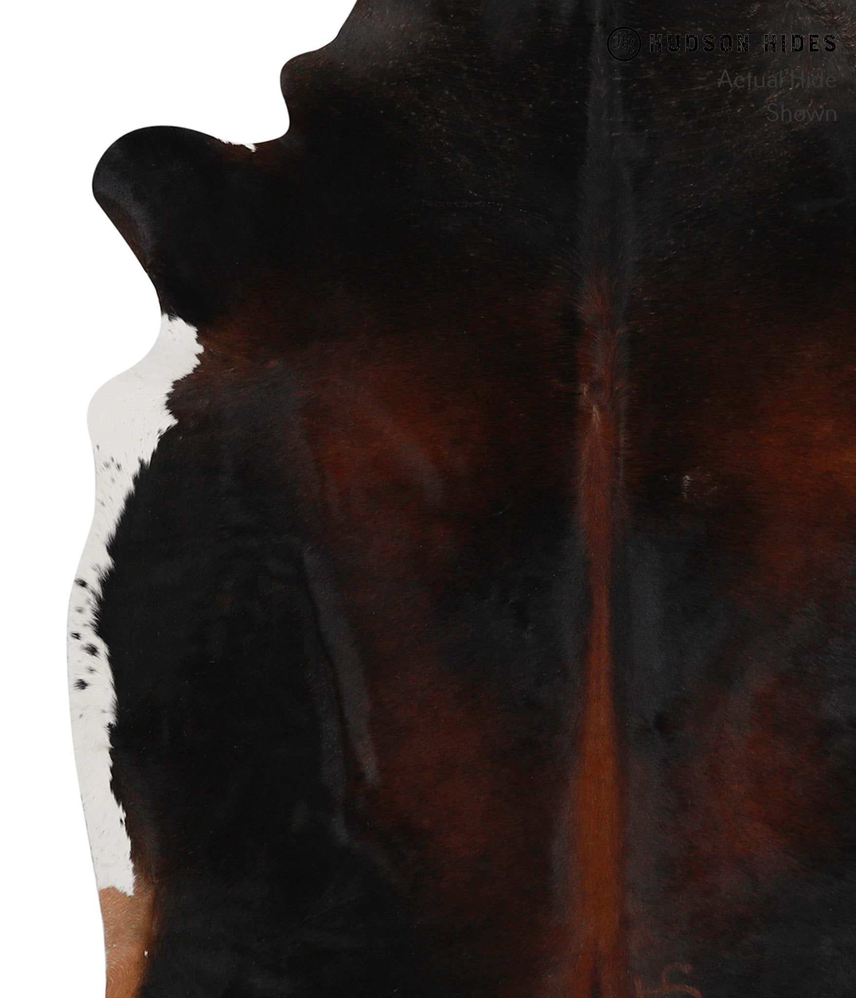 Chocolate and White Cowhide Rug #83255