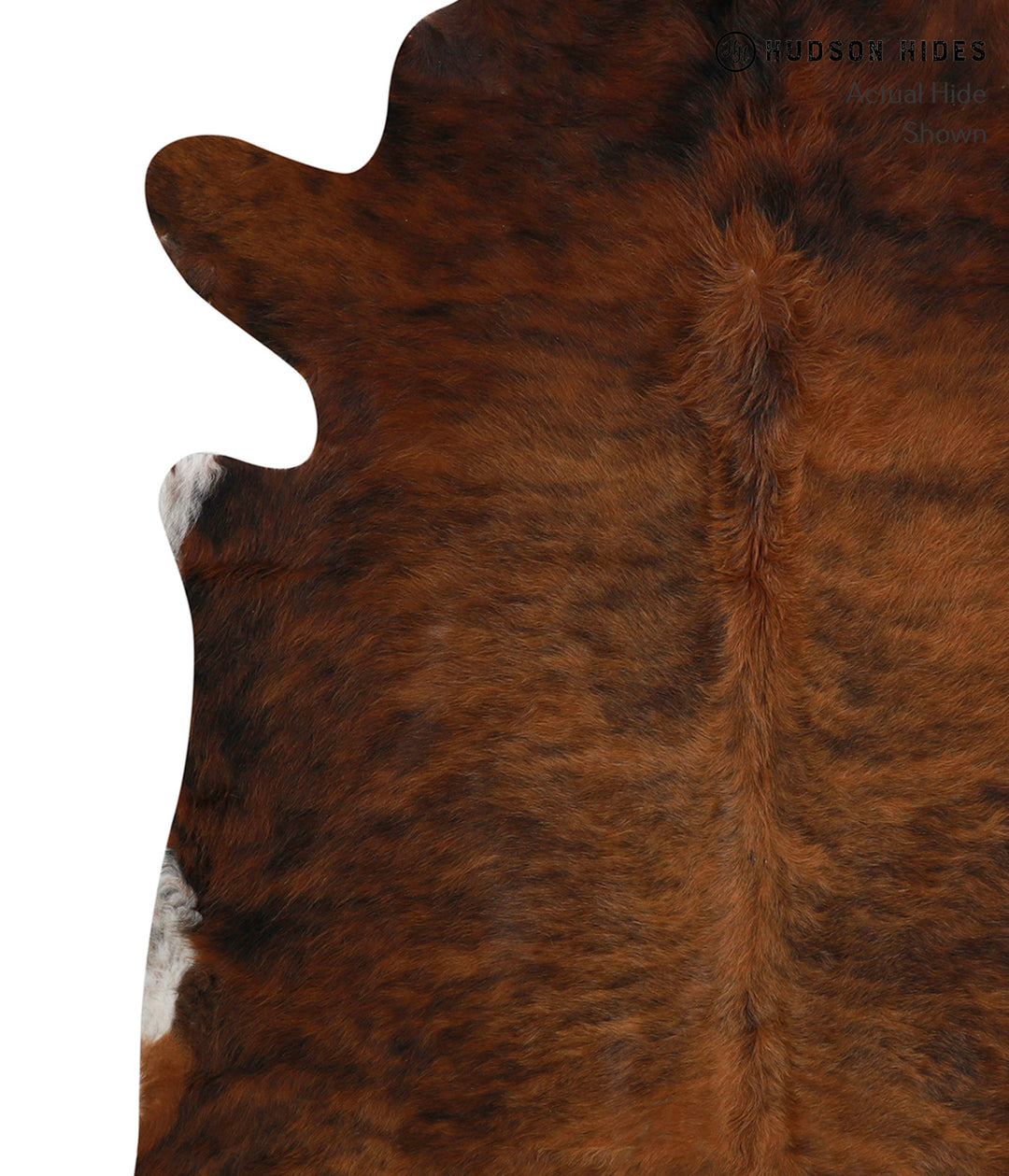 Dark Brindle X-Large Brazilian Cowhide Rug 7'3"H x 6'7"W #83303 by Hud