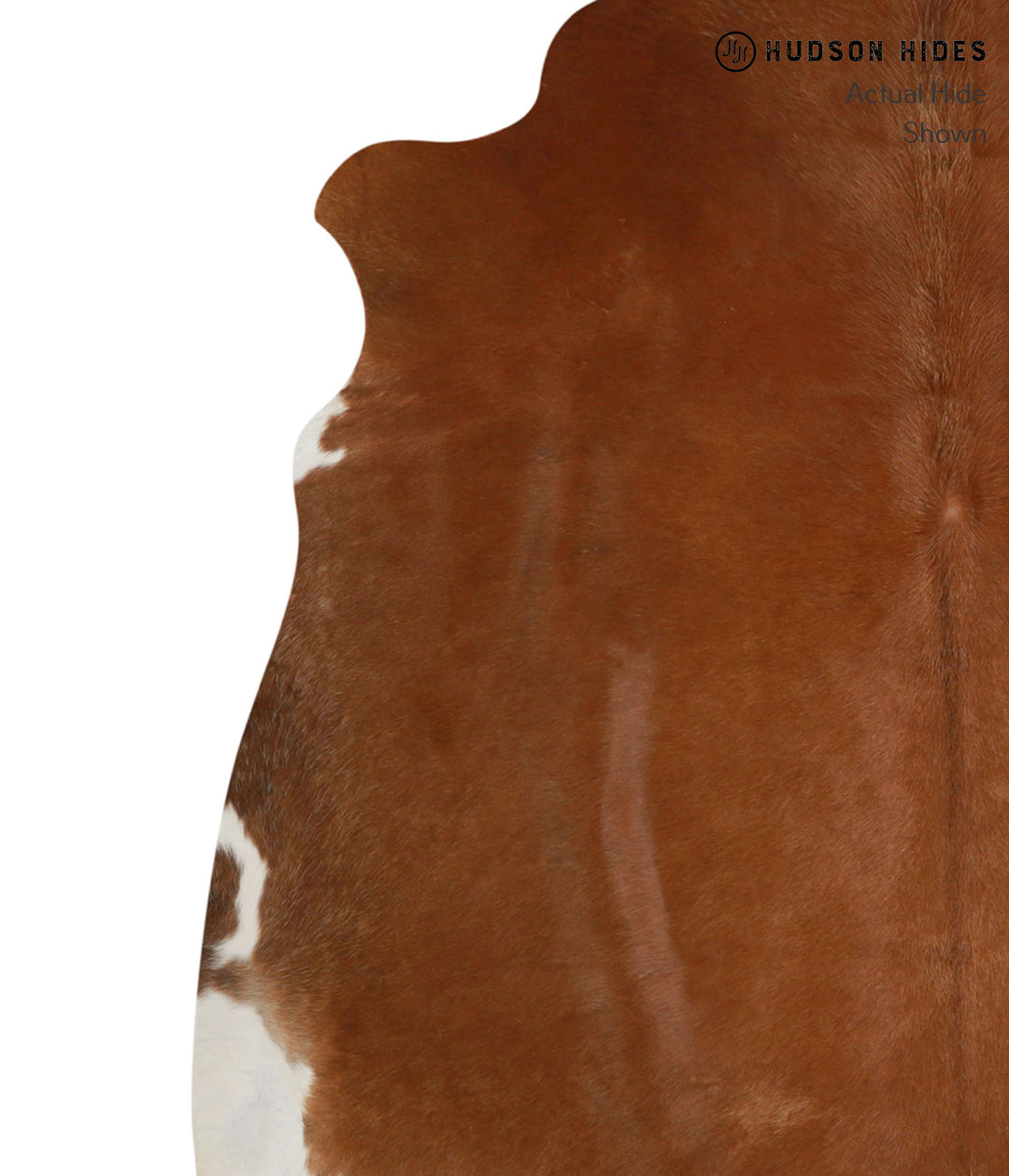 Solid Brown XX-Large Brazilian Cowhide Rug 7'2"H x 7'4"W #83326 by Hud