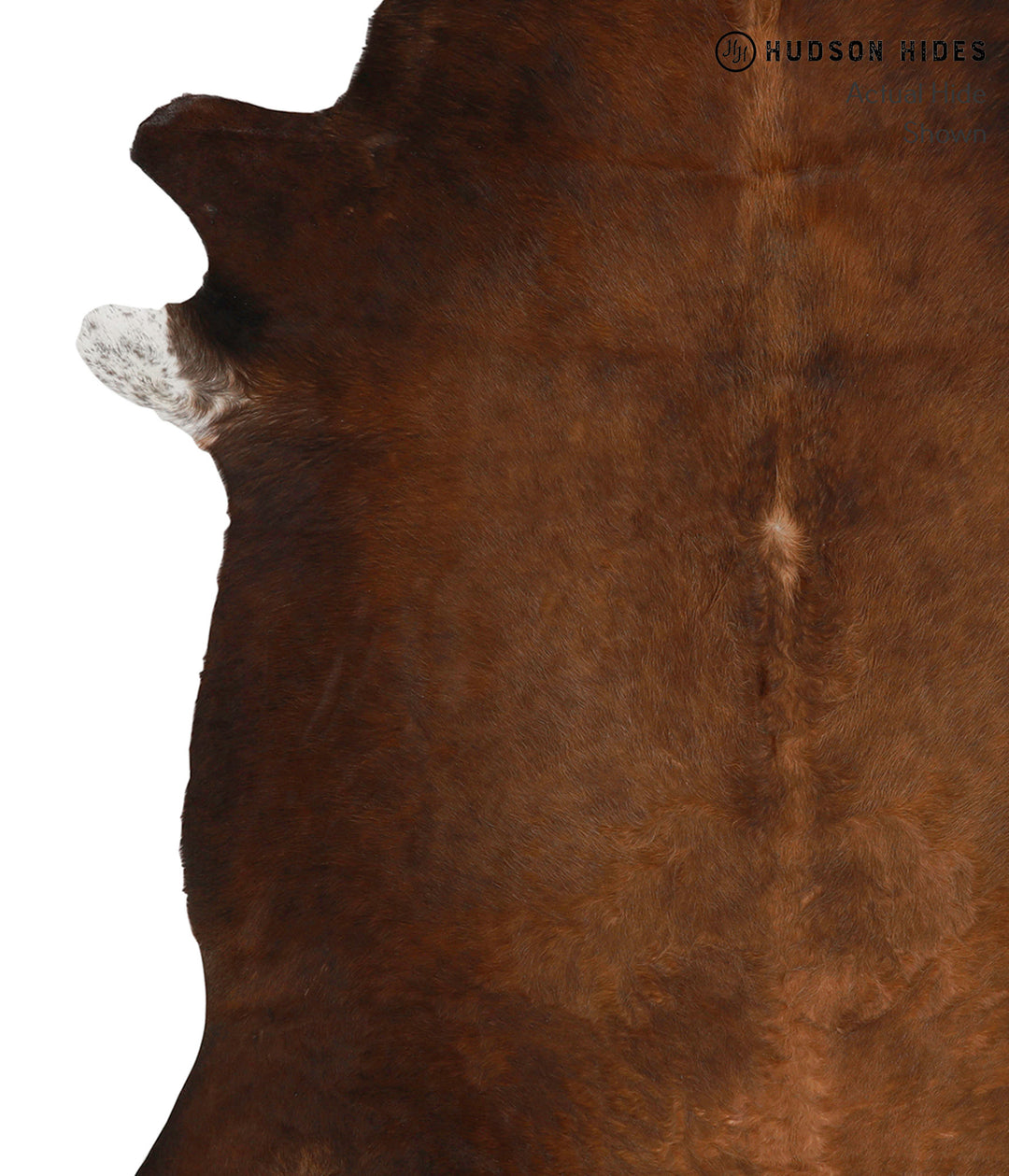 Chocolate X-Large Brazilian Cowhide Rug 6'11"H x 6'10"W #83352 by Huds
