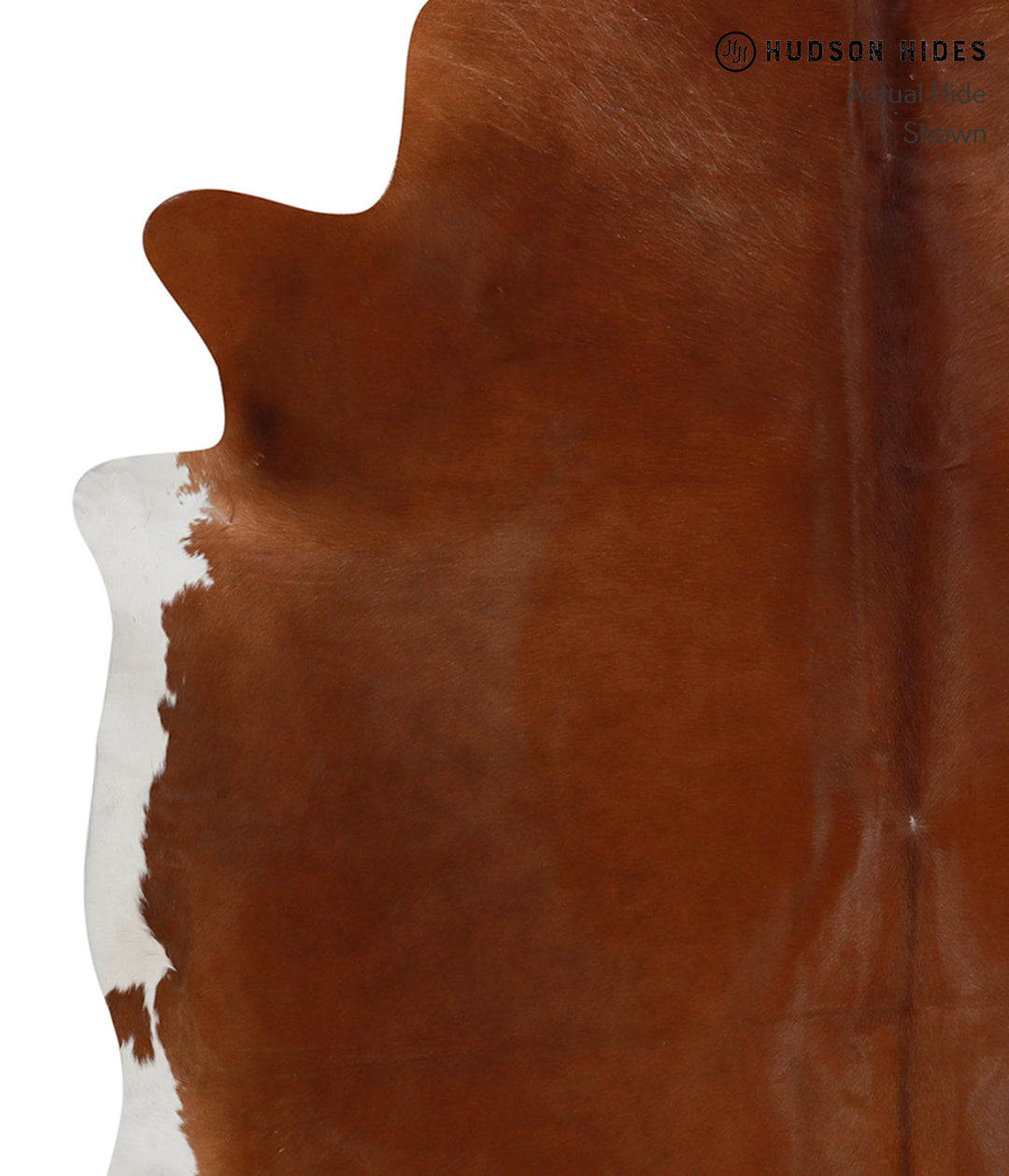Solid Brown X-Large Brazilian Cowhide Rug 6'7"H x 6'8"W #83783 by Huds