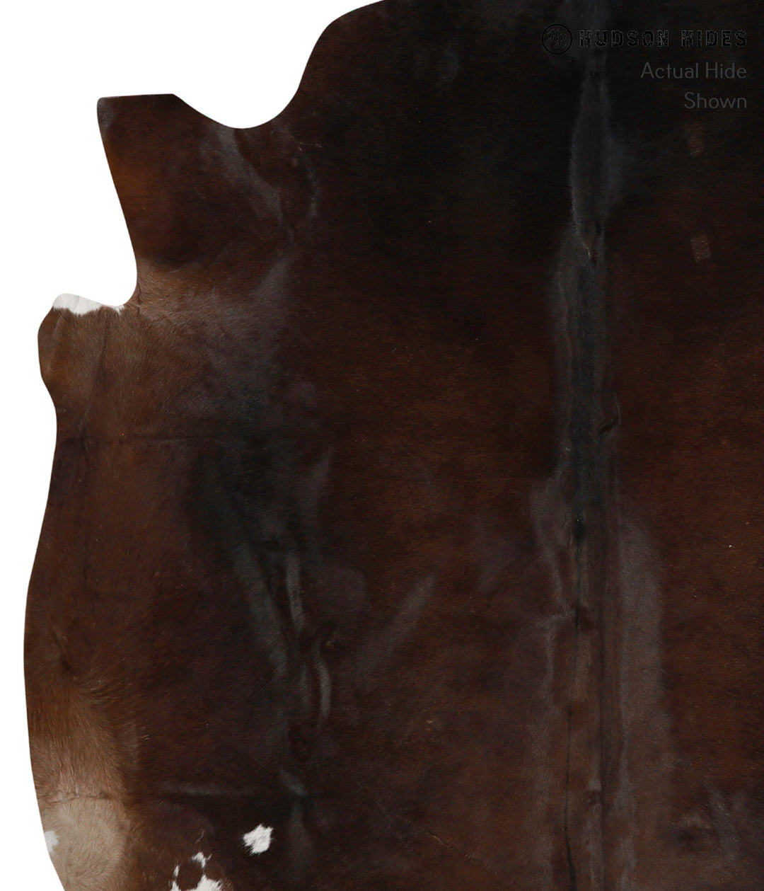 Chocolate X-Large Brazilian Cowhide Rug 7'0"H x 6'4"W #83786 by Hudson
