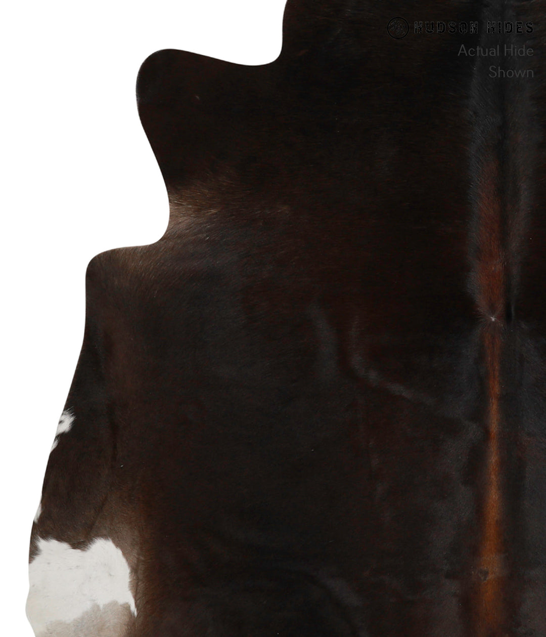 Chocolate Large Brazilian Cowhide Rug 6'1"H x 6'2"W #83794 by Hudson H