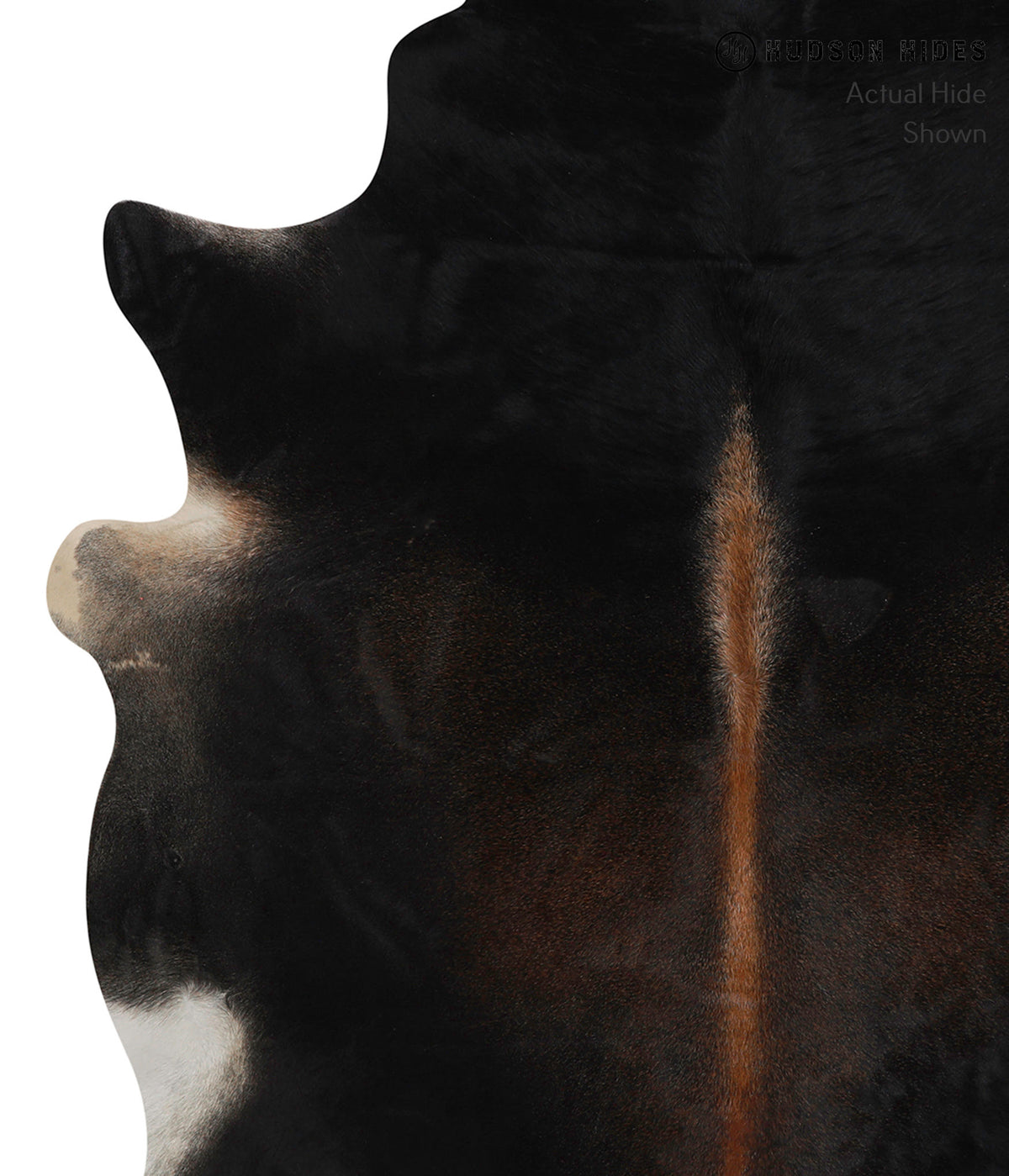 Chocolate X-Large Brazilian Cowhide Rug 7'1"H x 5'11"W #83802 by Hudson Hides