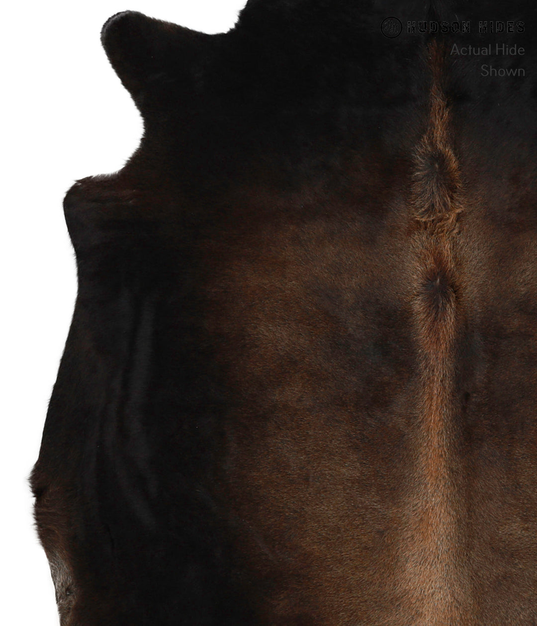 Chocolate X-Large Brazilian Cowhide Rug 6'8"H x 6'7"W #83804 by Hudson