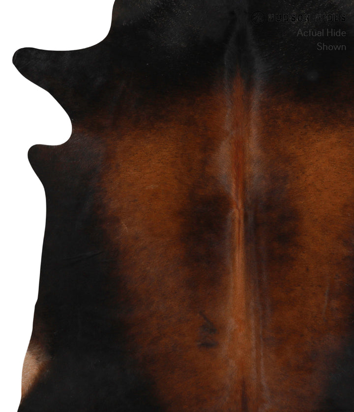 Chocolate Large Brazilian Cowhide Rug 6'4"H x 5'11"W #83869 by Hudson Hides