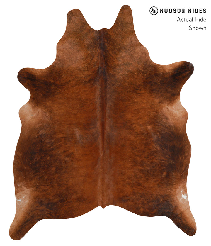 Medium Brindle X-Large Brazilian Cowhide Rug 7'5"H x 5'10"W #83872 by Hudson Hides