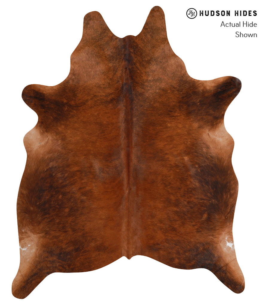 Medium Brindle X-Large Brazilian Cowhide Rug 7'5"H x 5'10"W #83872 by Hudson Hides