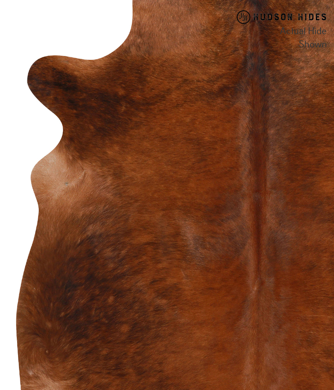 Medium Brindle X-Large Brazilian Cowhide Rug 7'5"H x 5'10"W #83872 by 
