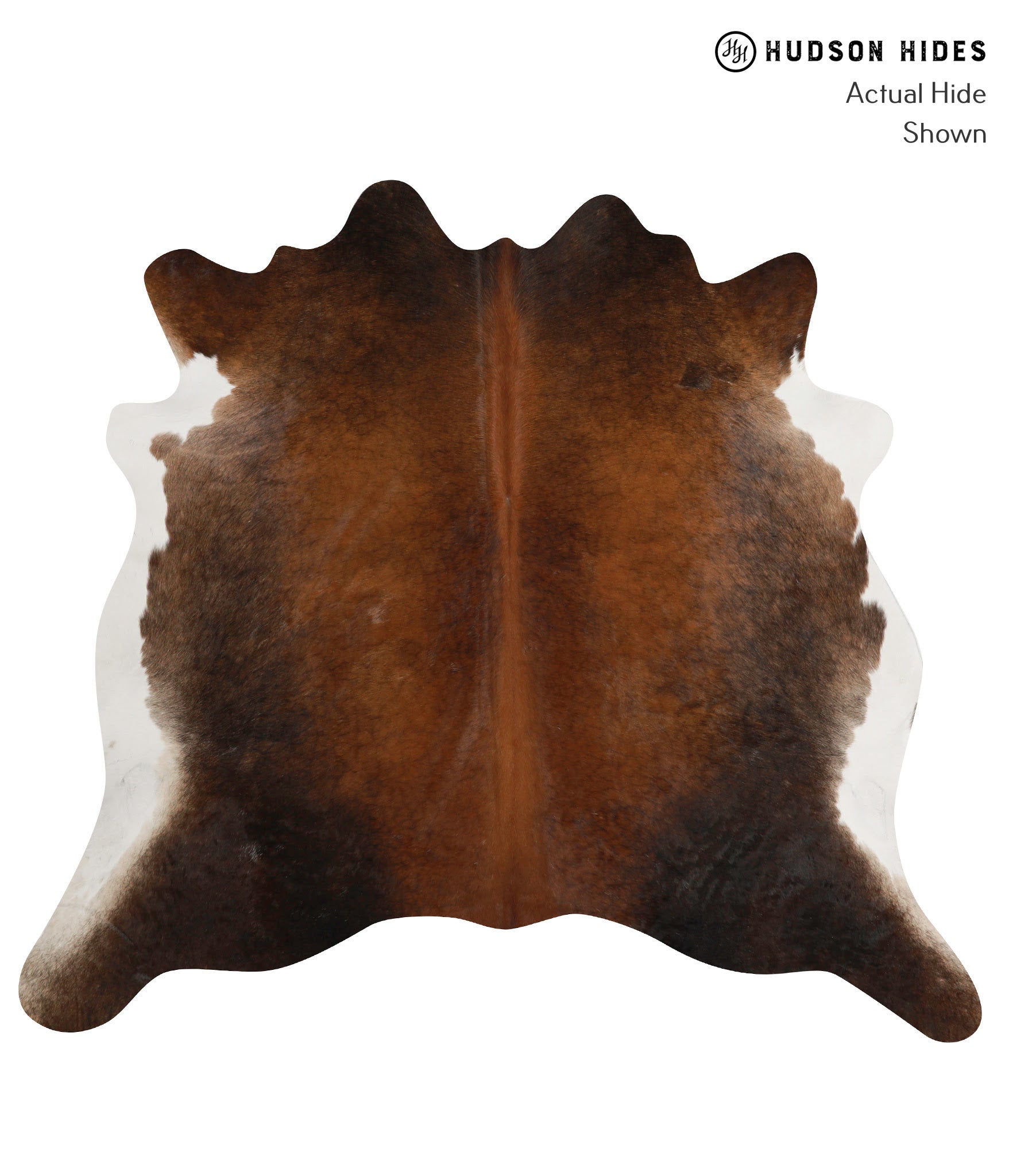 Brown with Red Cowhide Rug #83878