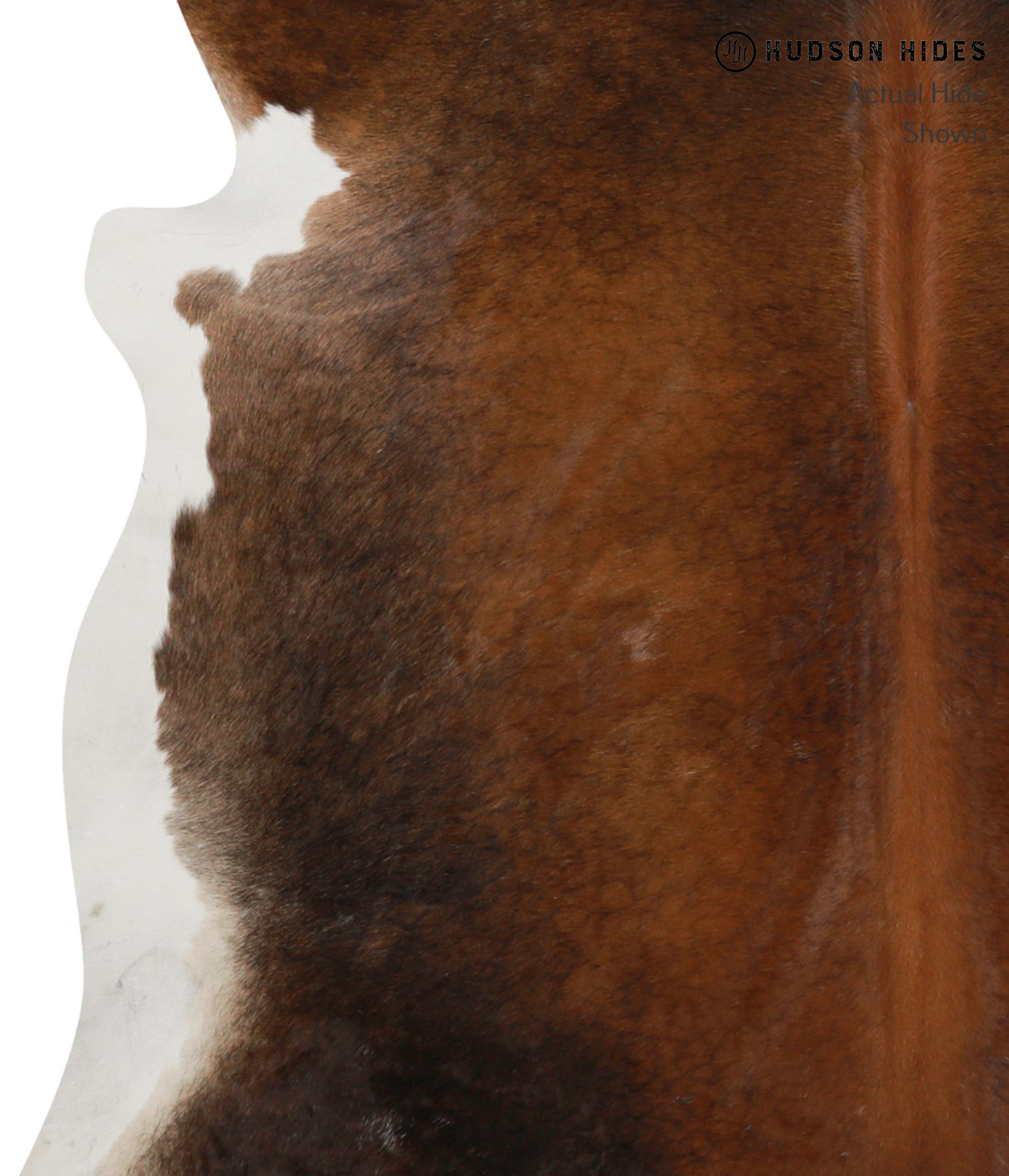 Brown with Red Cowhide Rug #83878