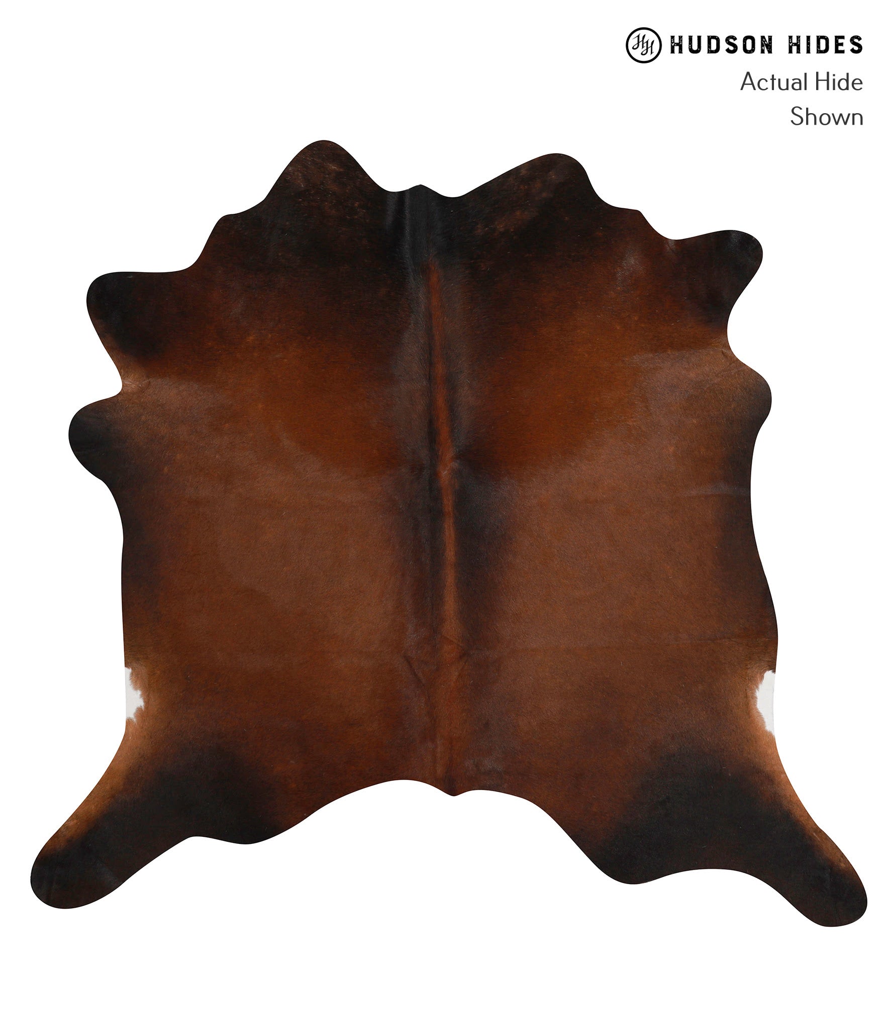 Brown with Red Cowhide Rug #83889