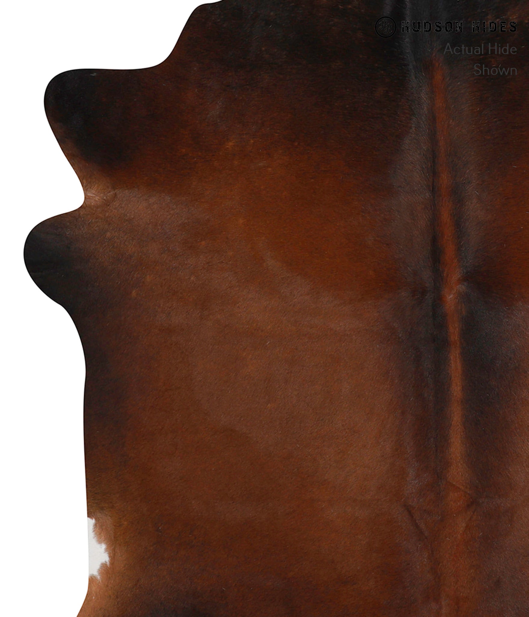 Brown with Red Cowhide Rug #83889
