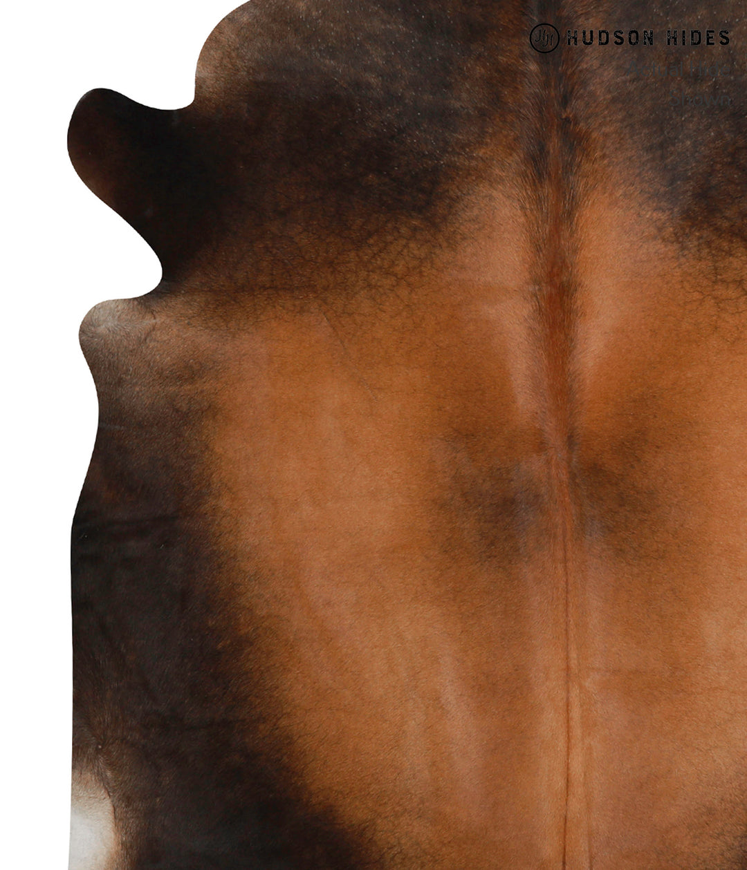 Chocolate X-Large Brazilian Cowhide Rug 6'6"H x 6'1"W #83896 by Hudson