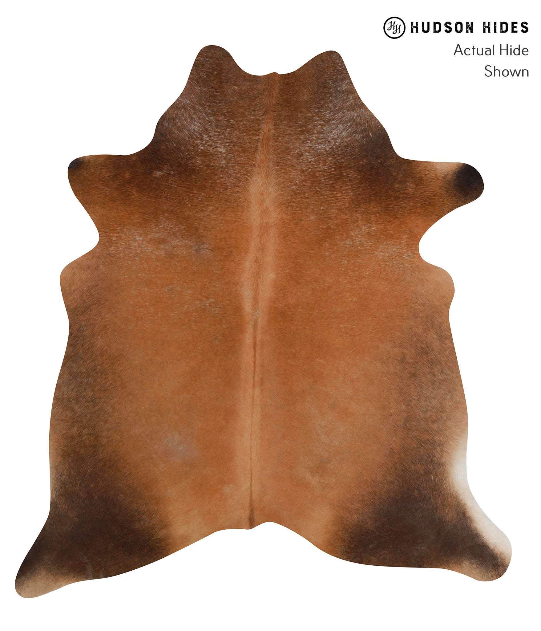 Brown with Red Cowhide Rug #83969