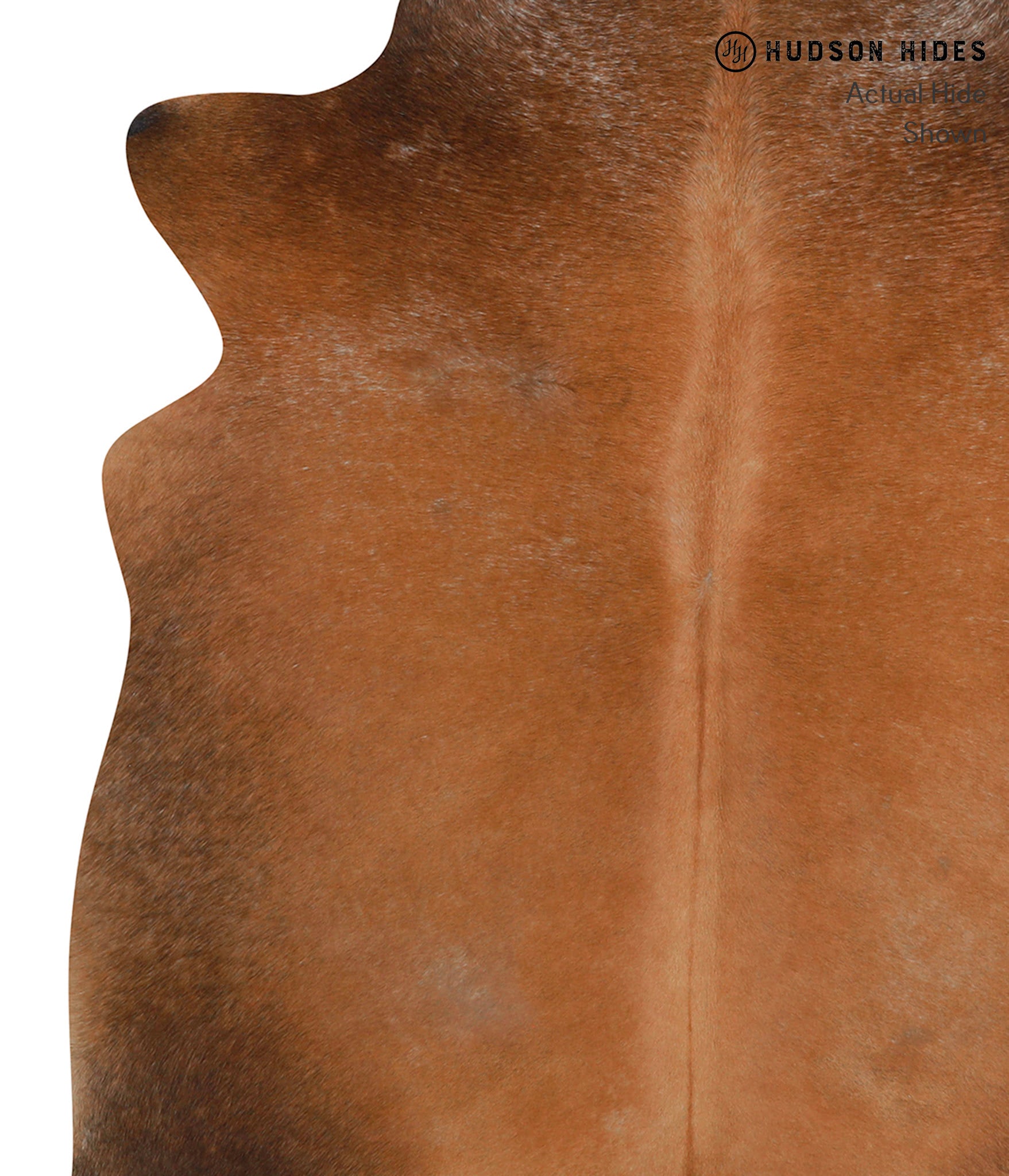 Brown with Red Cowhide Rug #83969