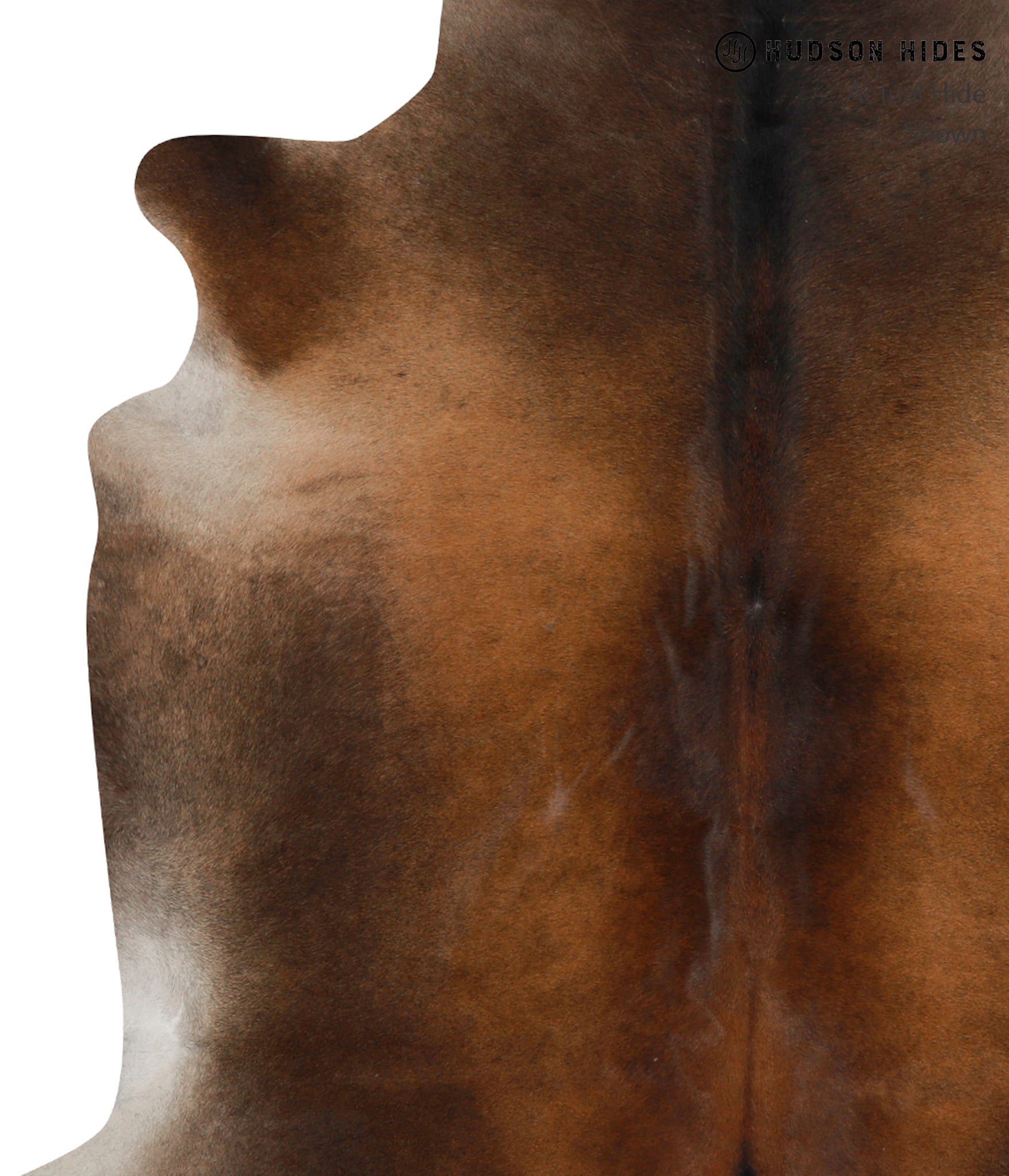 Brown with Red Cowhide Rug #83970