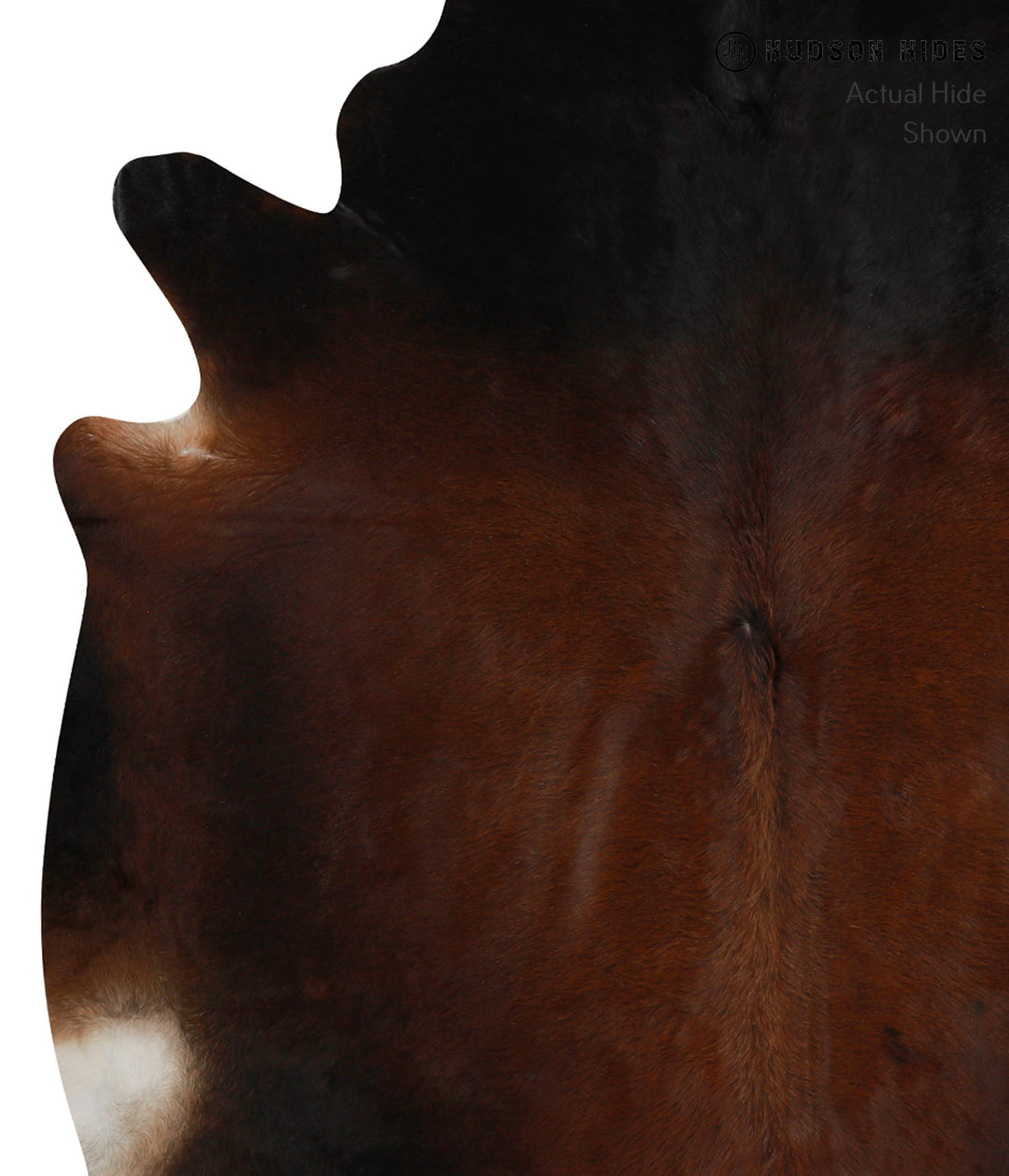Chocolate XX-Large Brazilian Cowhide Rug 7'4"H x 6'10"W #84009 by Huds