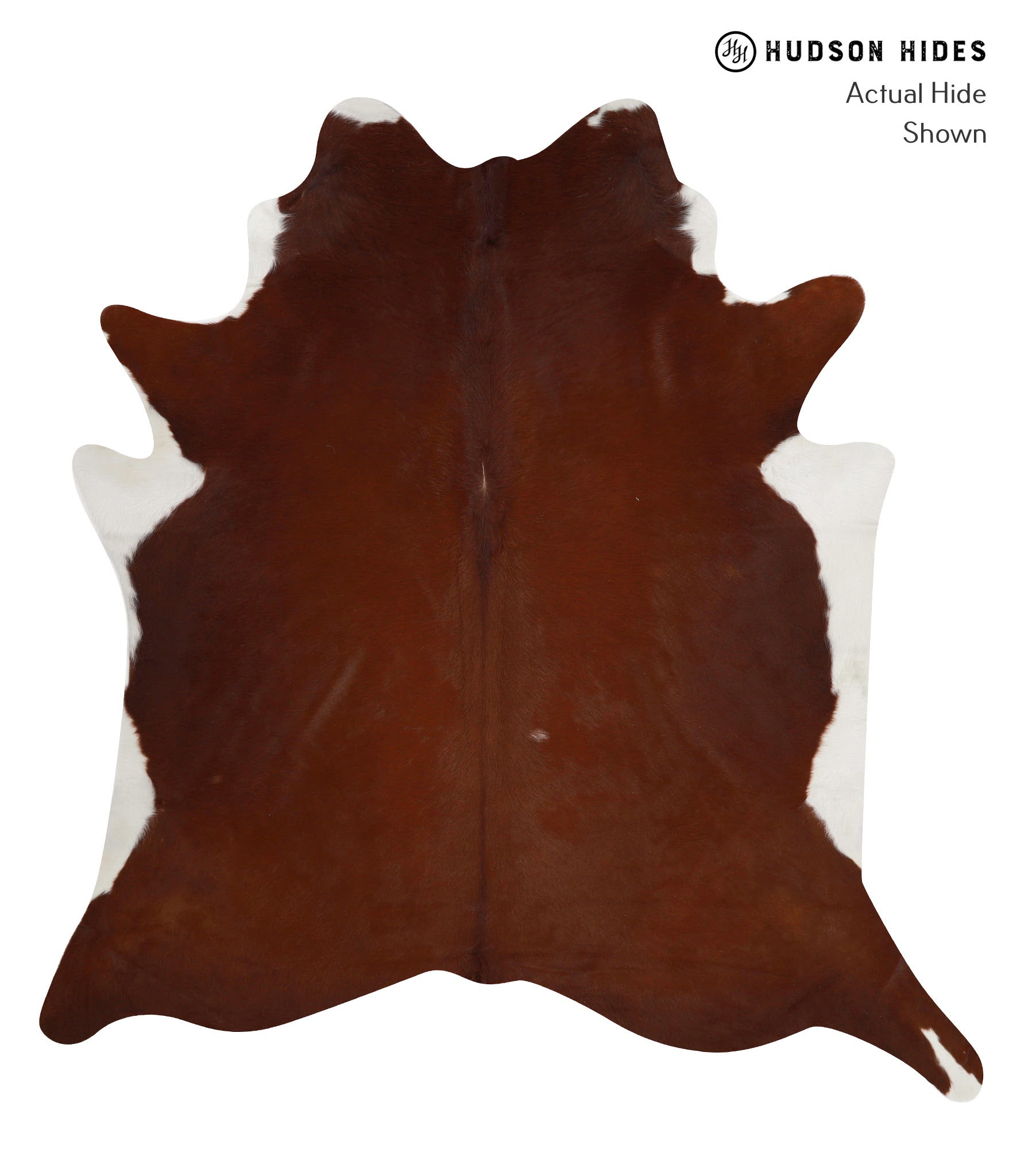 Brown and White Regular Cowhide Rug #84023