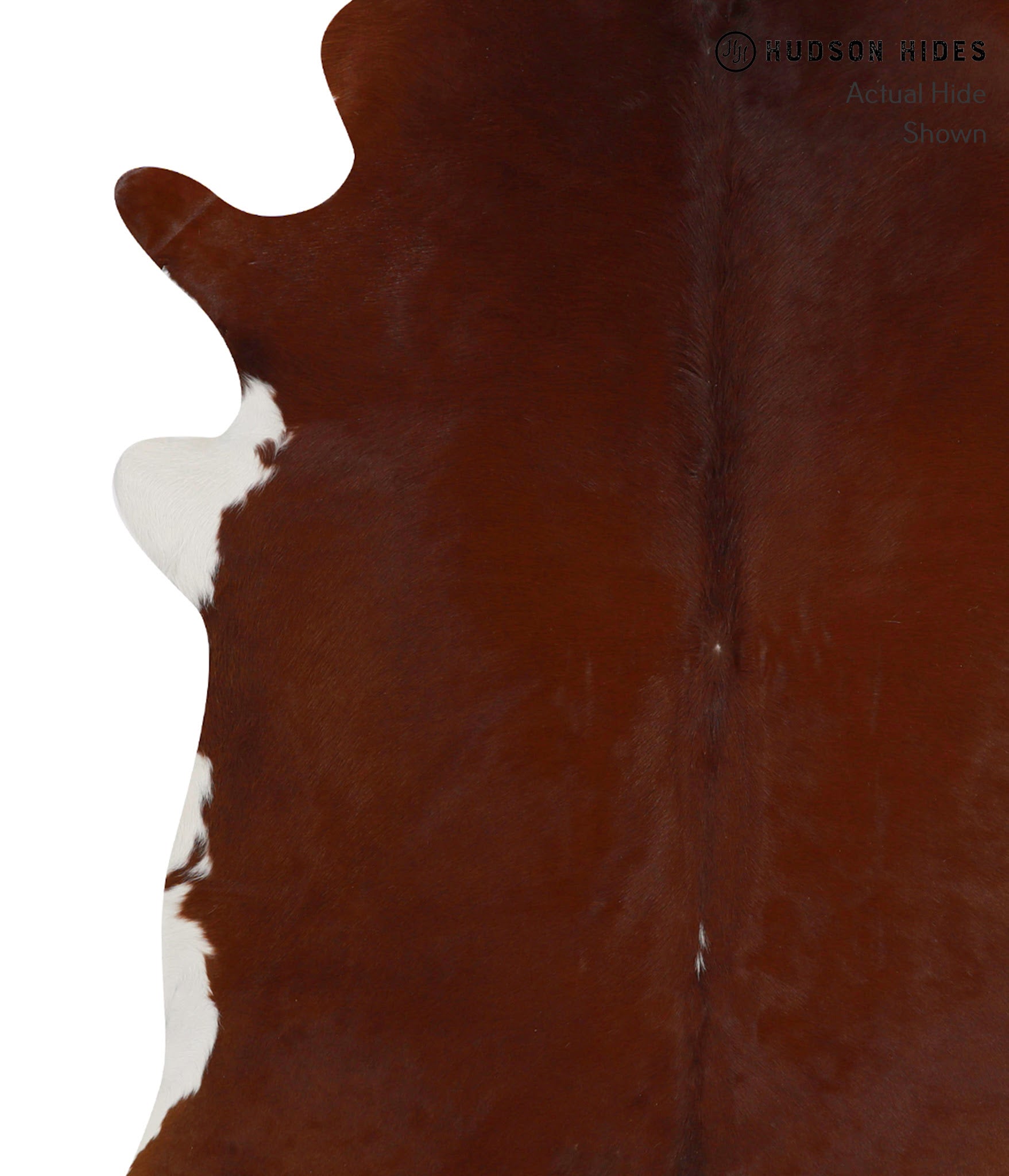 Brown and White Regular Cowhide Rug #84024