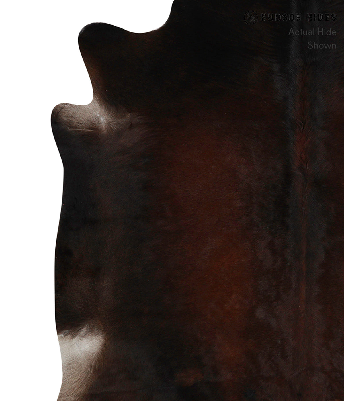 Chocolate X-Large Brazilian Cowhide Rug 6'9"H x 6'10"W #84193 by Hudson Hides