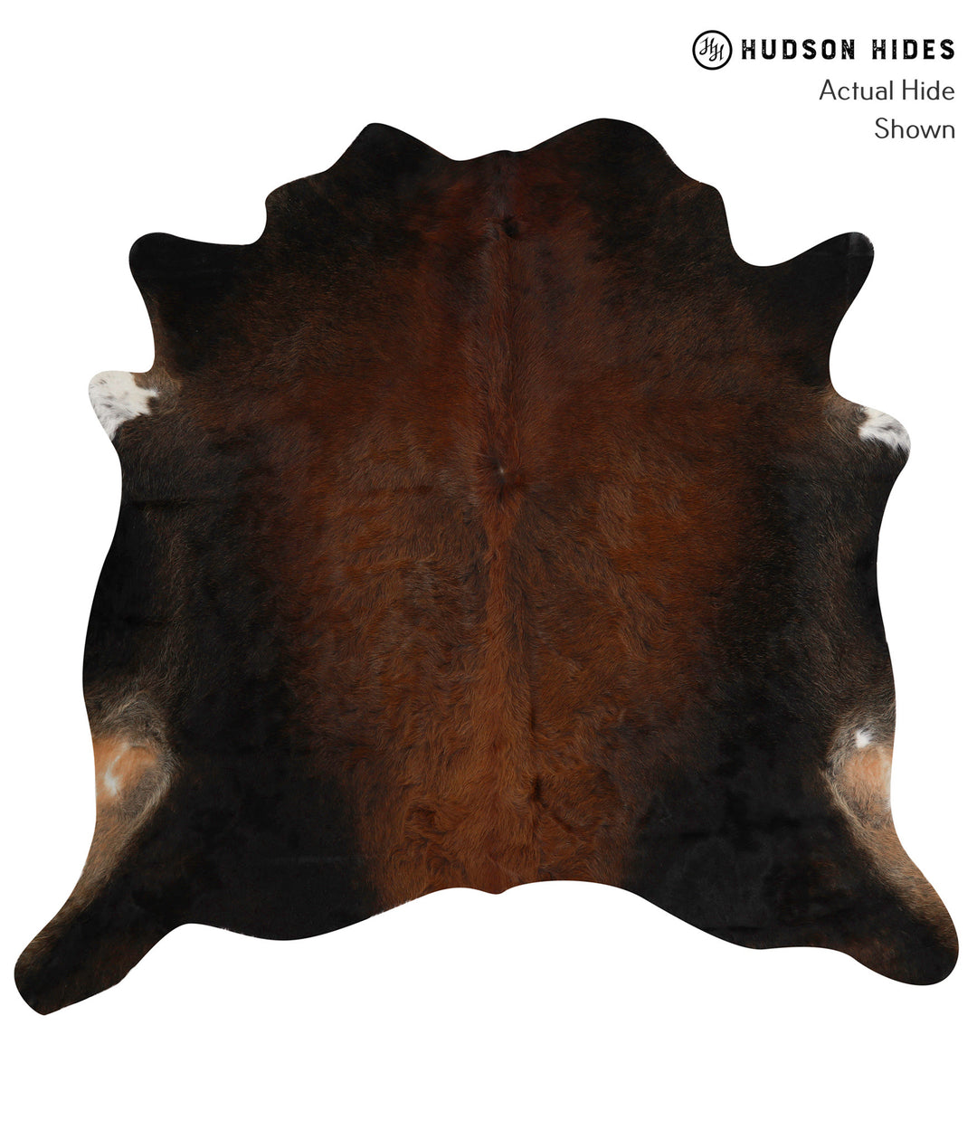 Chocolate XX-Large Brazilian Cowhide Rug 6'10"H x 7'3"W #84250 by Huds