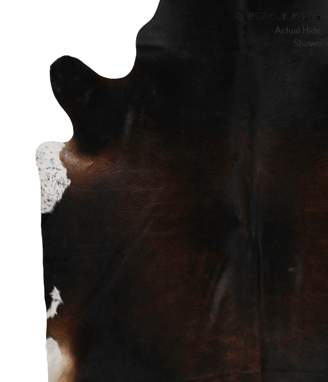 Chocolate X-Large Brazilian Cowhide Rug 7'6"H x 6'5"W #84281 by Hudson