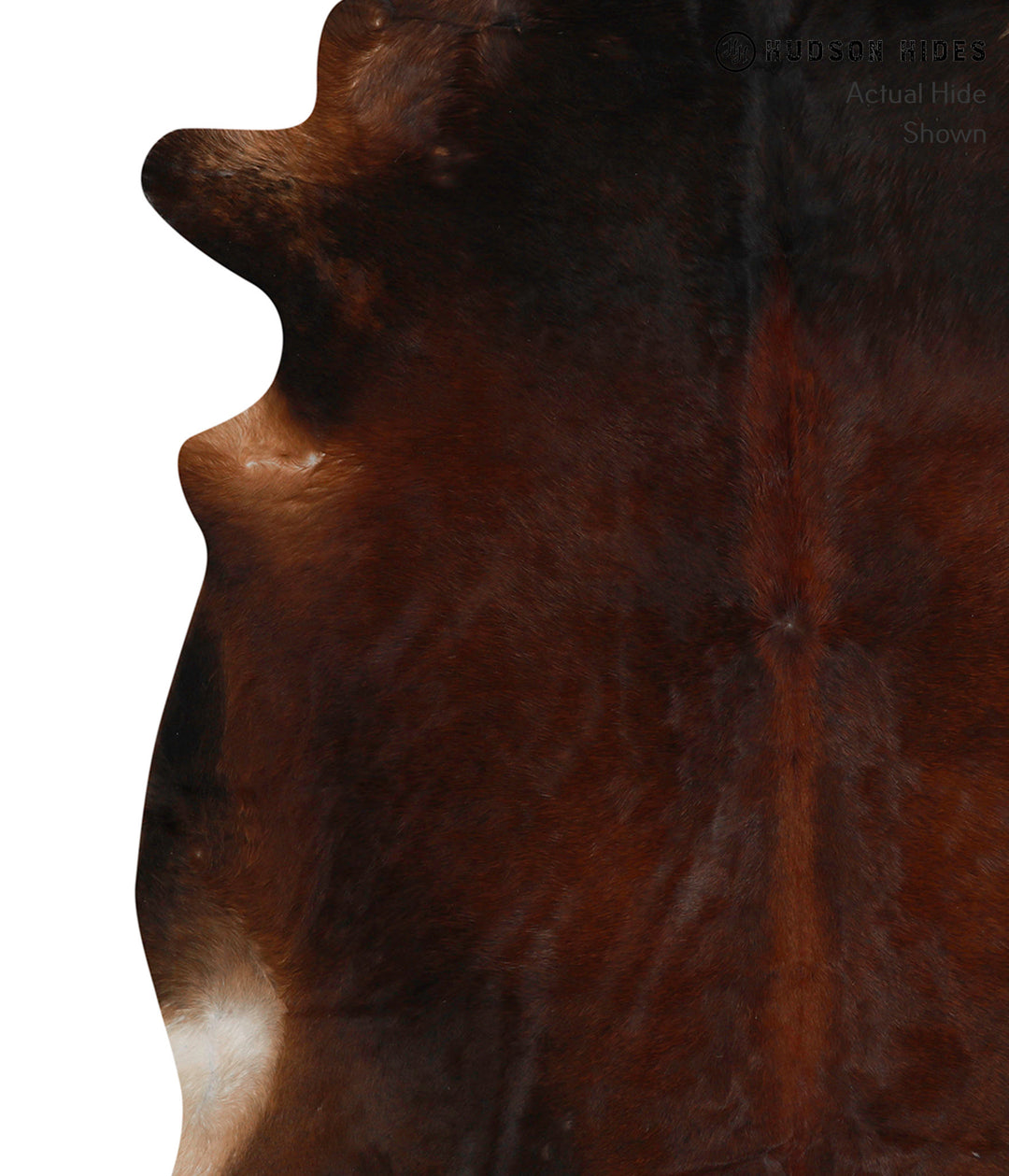 Chocolate X-Large Brazilian Cowhide Rug 7'3"H x 6'5"W #84346 by Hudson