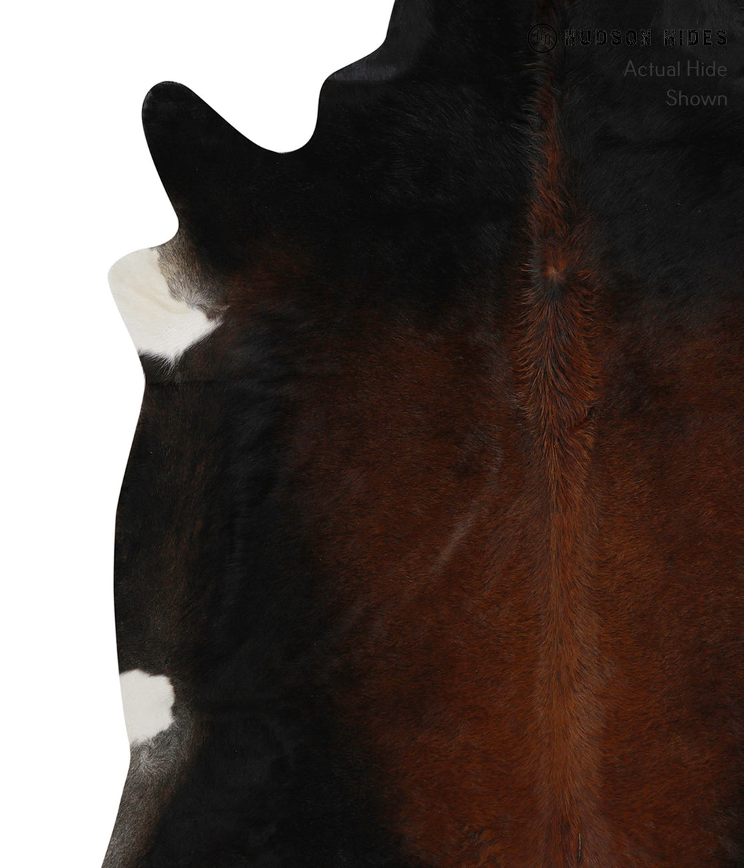 Chocolate XX-Large Brazilian Cowhide Rug 7'6"H x 7'0"W #84350 by Hudso
