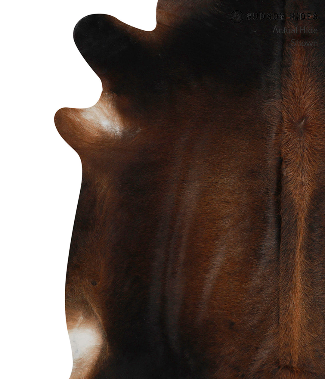 Chocolate X-Large Brazilian Cowhide Rug 6'10"H x 7'1"W #84351 by Hudso