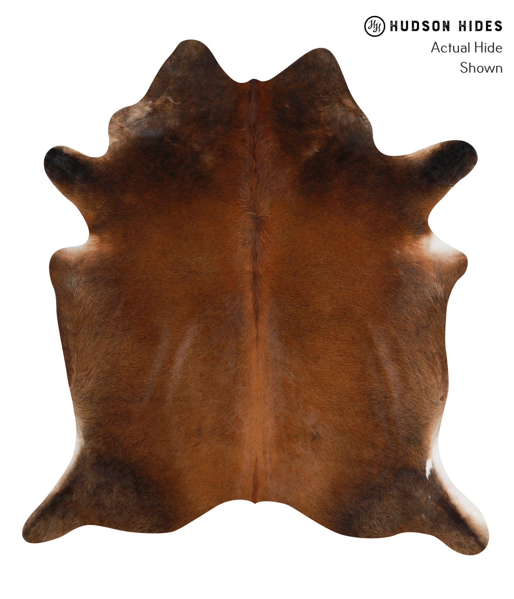 Chocolate Cowhide Rug #84353