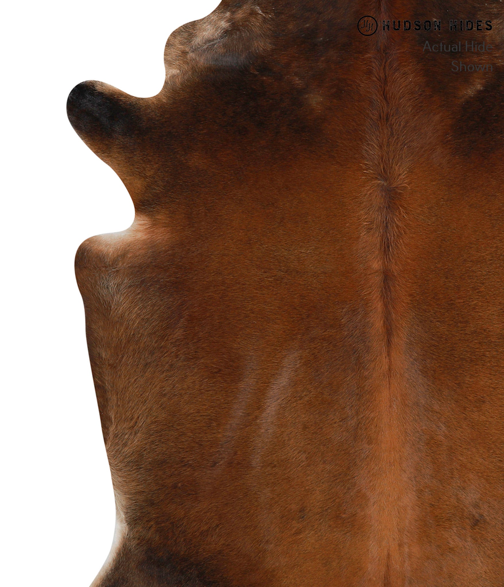 Chocolate Cowhide Rug #84353
