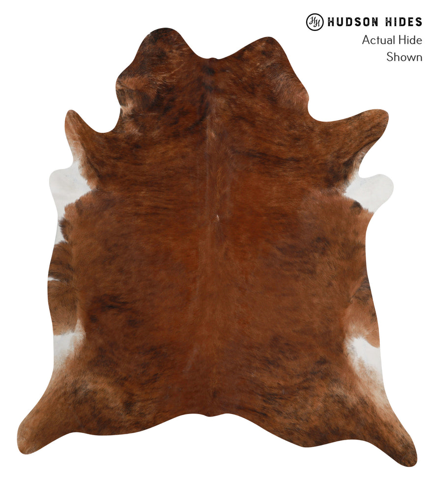 Medium Brindle XX-Large Brazilian Cowhide Rug 7'5"H x 6'10"W #84374 by Hudson Hides