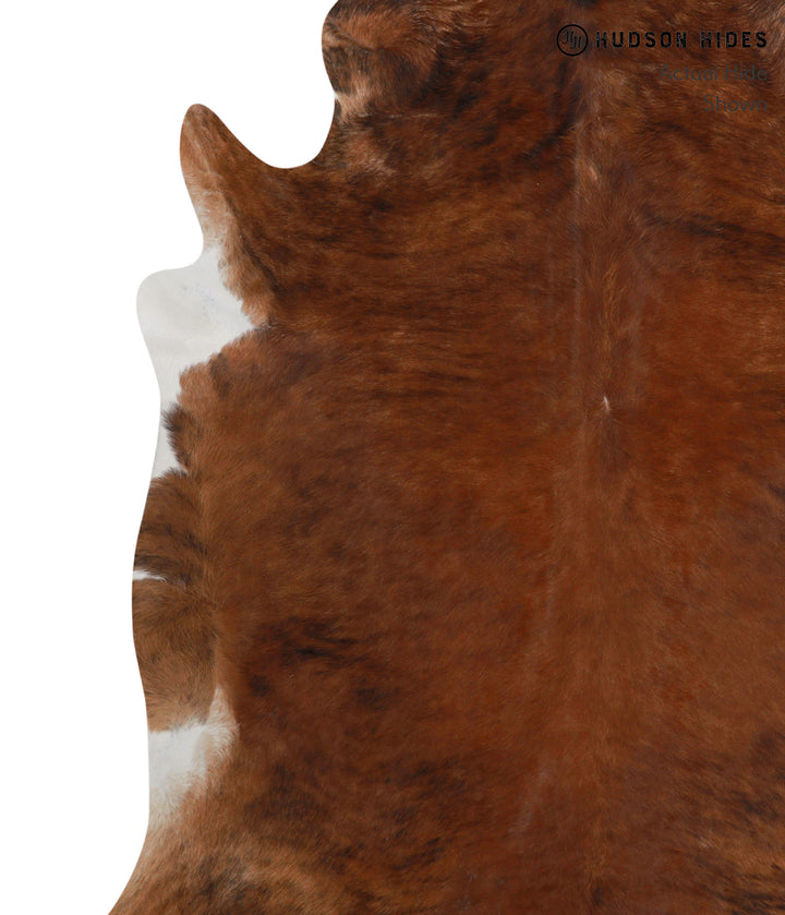 Medium Brindle XX-Large Brazilian Cowhide Rug 7'5"H x 6'10"W #84374 by Hudson Hides