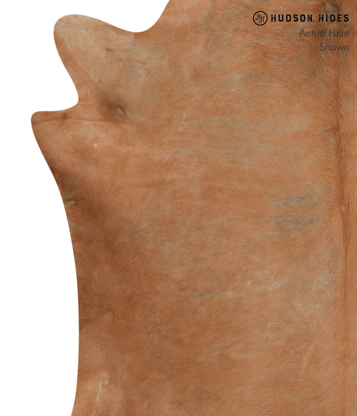Solid Brown X-Large Brazilian Cowhide Rug 6'9"H x 7'0"W #84382 by Hudson Hides