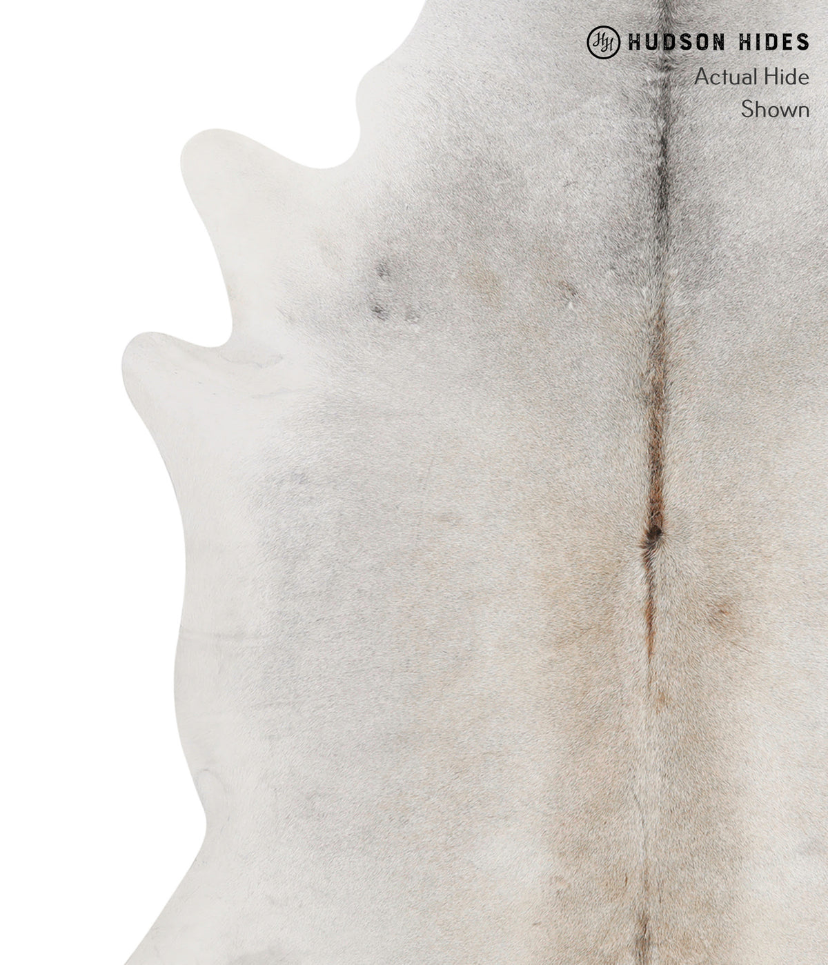 Medium Grey X-Large Brazilian Cowhide Rug 7'3"H x 6'7"W #84403 by Hudson Hides