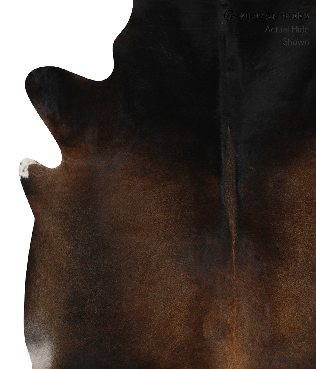 Chocolate XX-Large Brazilian Cowhide Rug 7'9"H x 7'4"W #84438 by Hudso