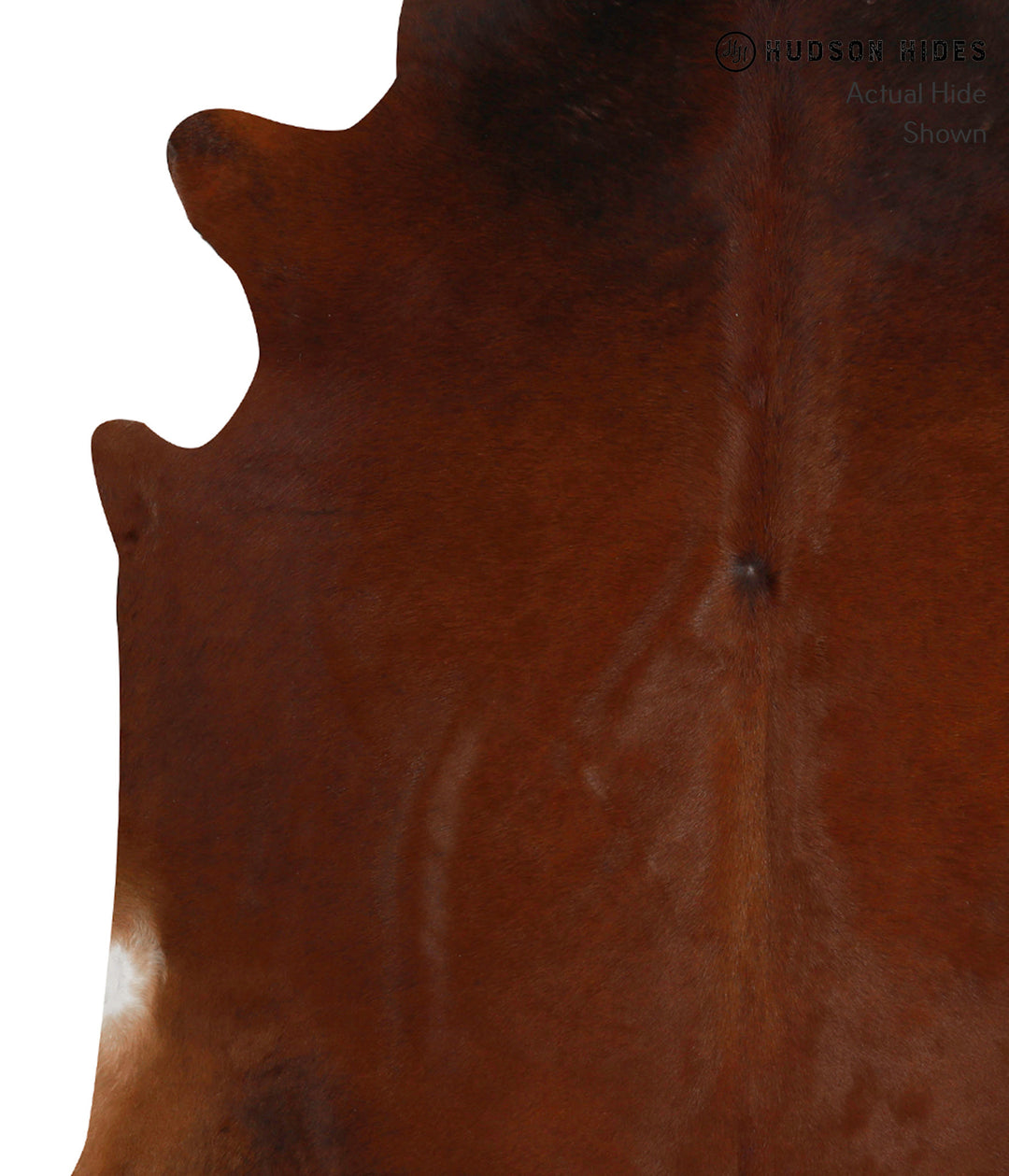 Solid Brown X-Large Brazilian Cowhide Rug 7'2"H x 5'10"W #84586 by Hud
