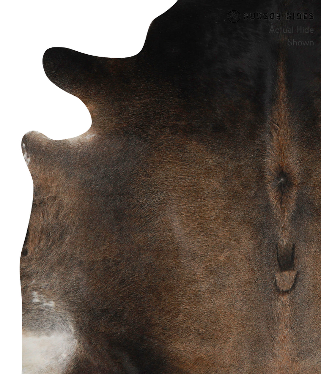 Chocolate X-Large Brazilian Cowhide Rug 6'5"H x 6'2"W #84602 by Hudson