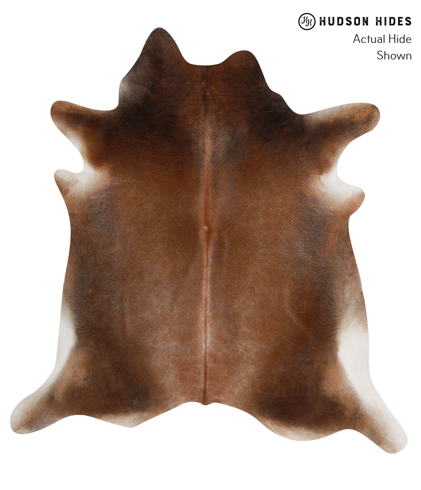 Brown with Red Cowhide Rug #84617