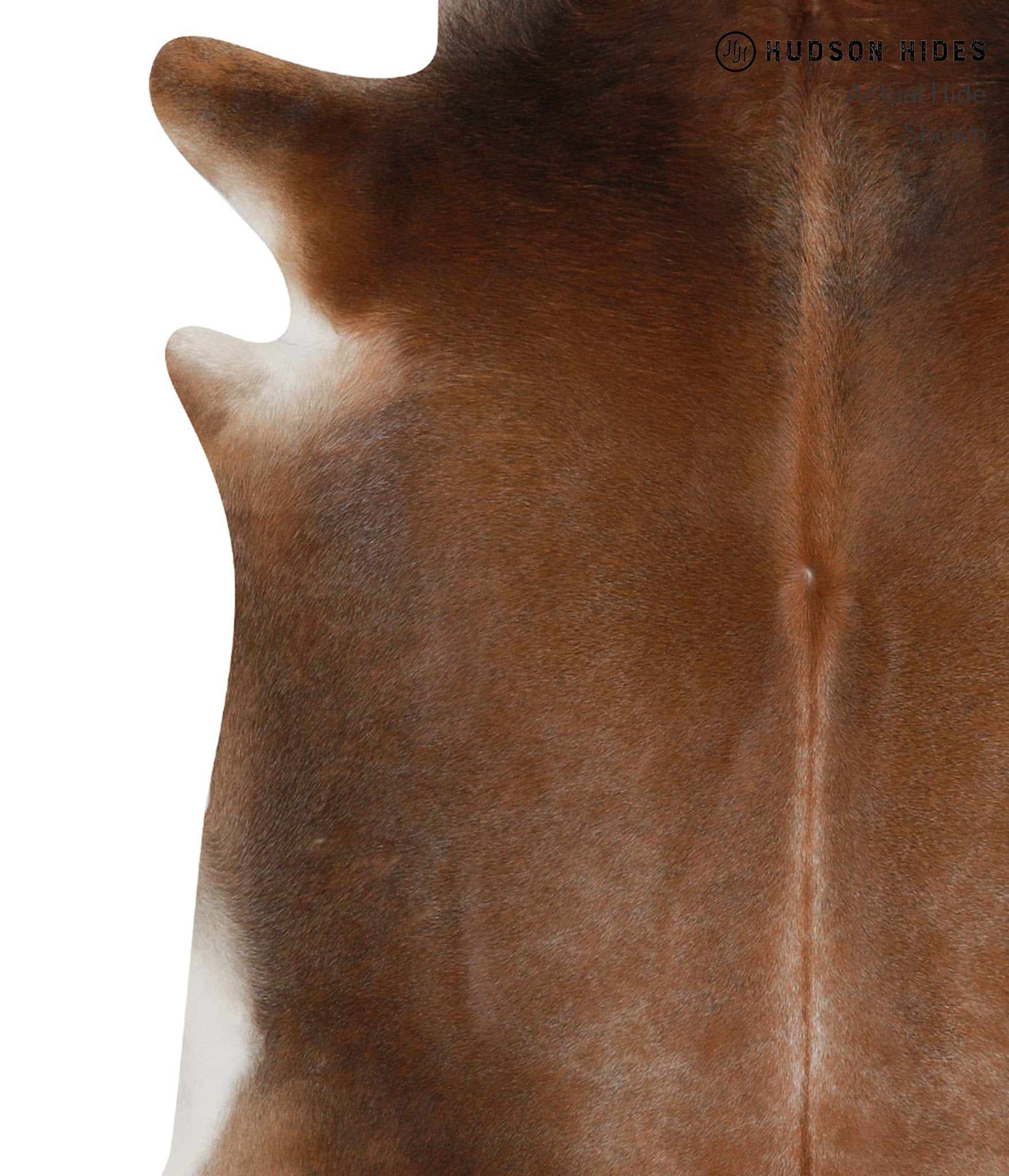 Brown with Red Cowhide Rug #84617